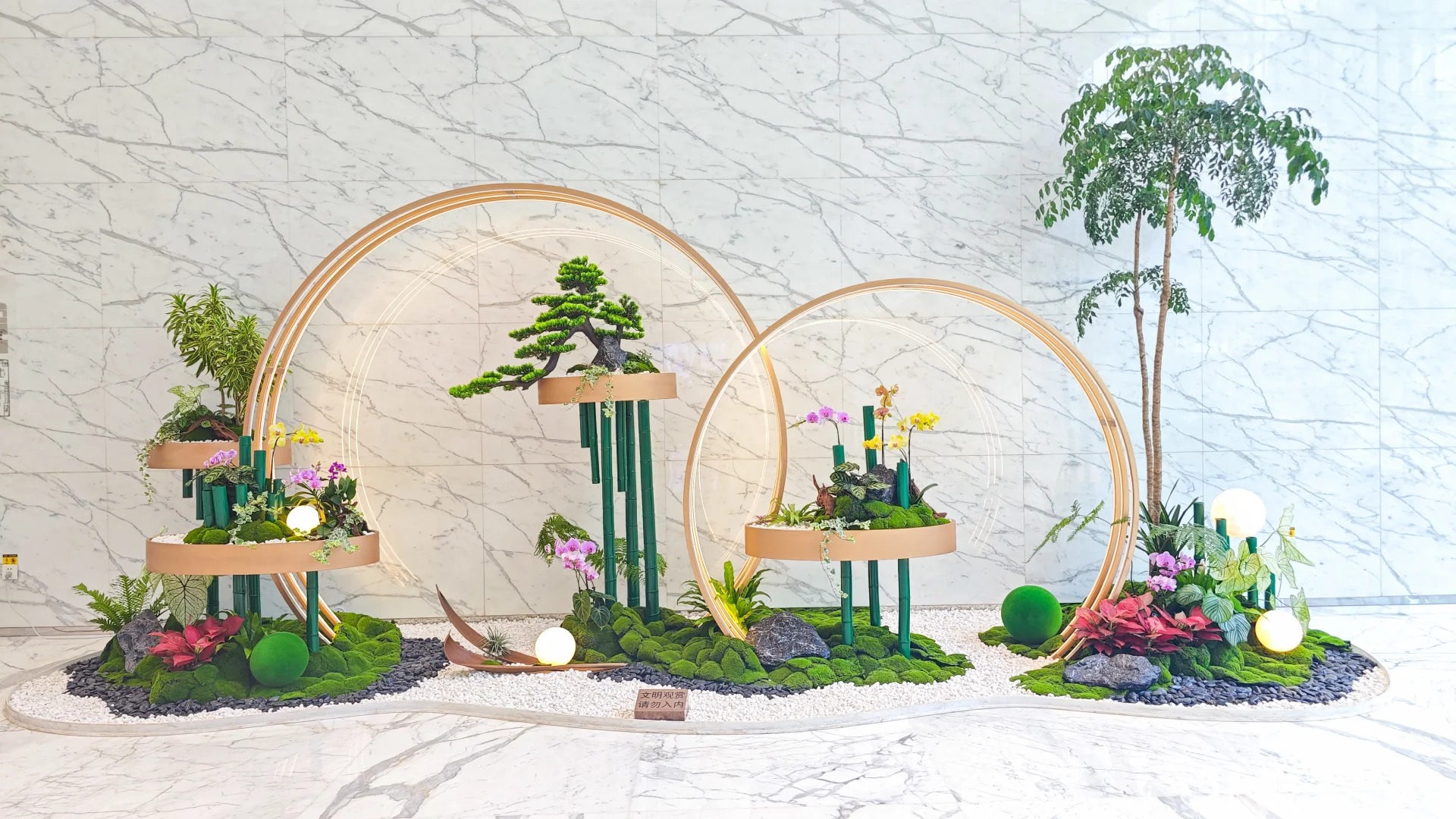 余姚植物租摆设计，让生活与自然完美融合